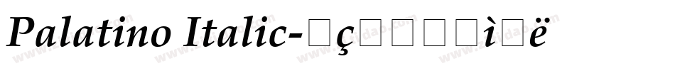 Palatino Italic字体转换